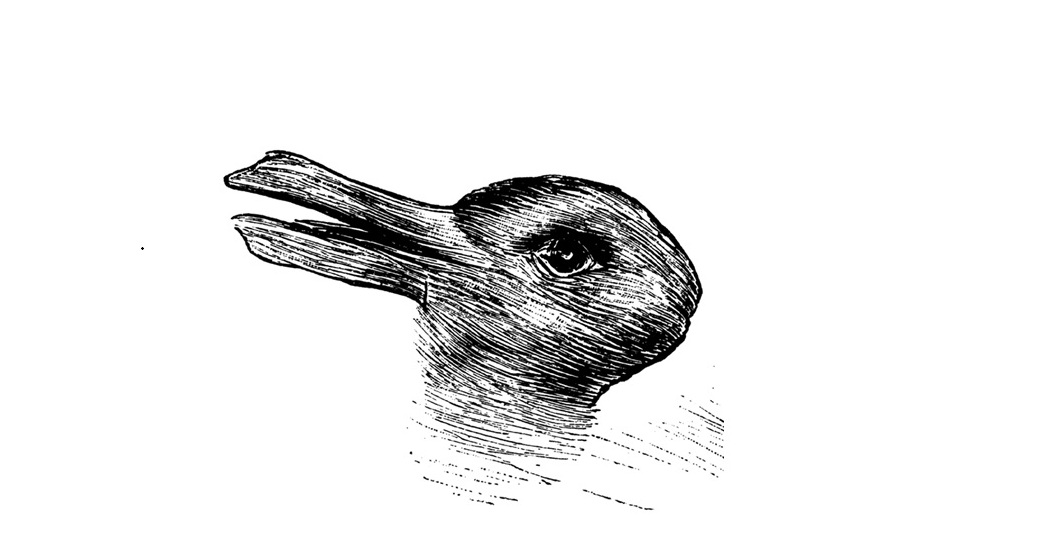 Which do you see?